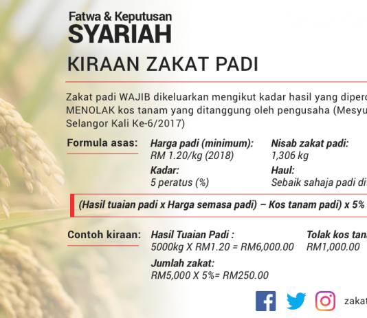 Bagaimanakah mengira zakat padi mengikut fatwa terkini?